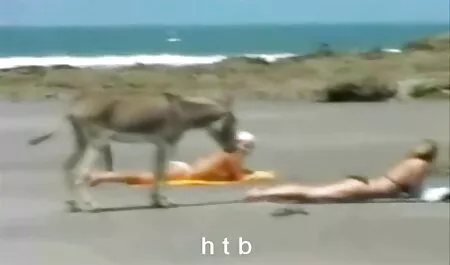 彼女は酔ってお母さんが穴に引っ張られています 女性 向け sex 動画